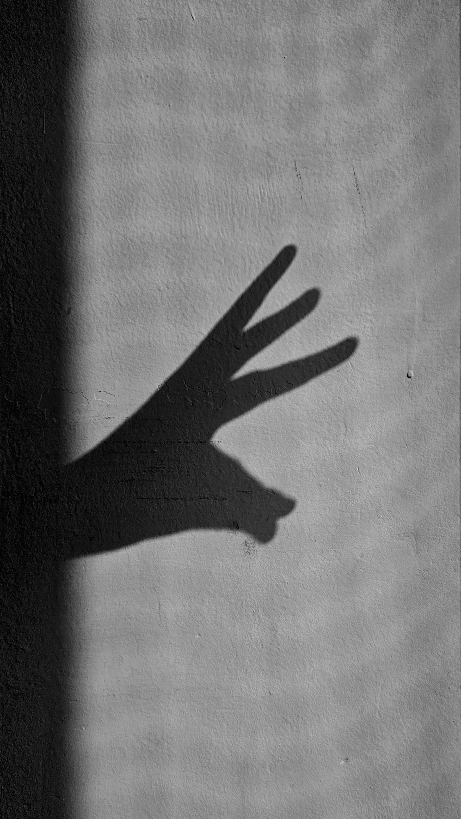 Skyggedukker på vegg